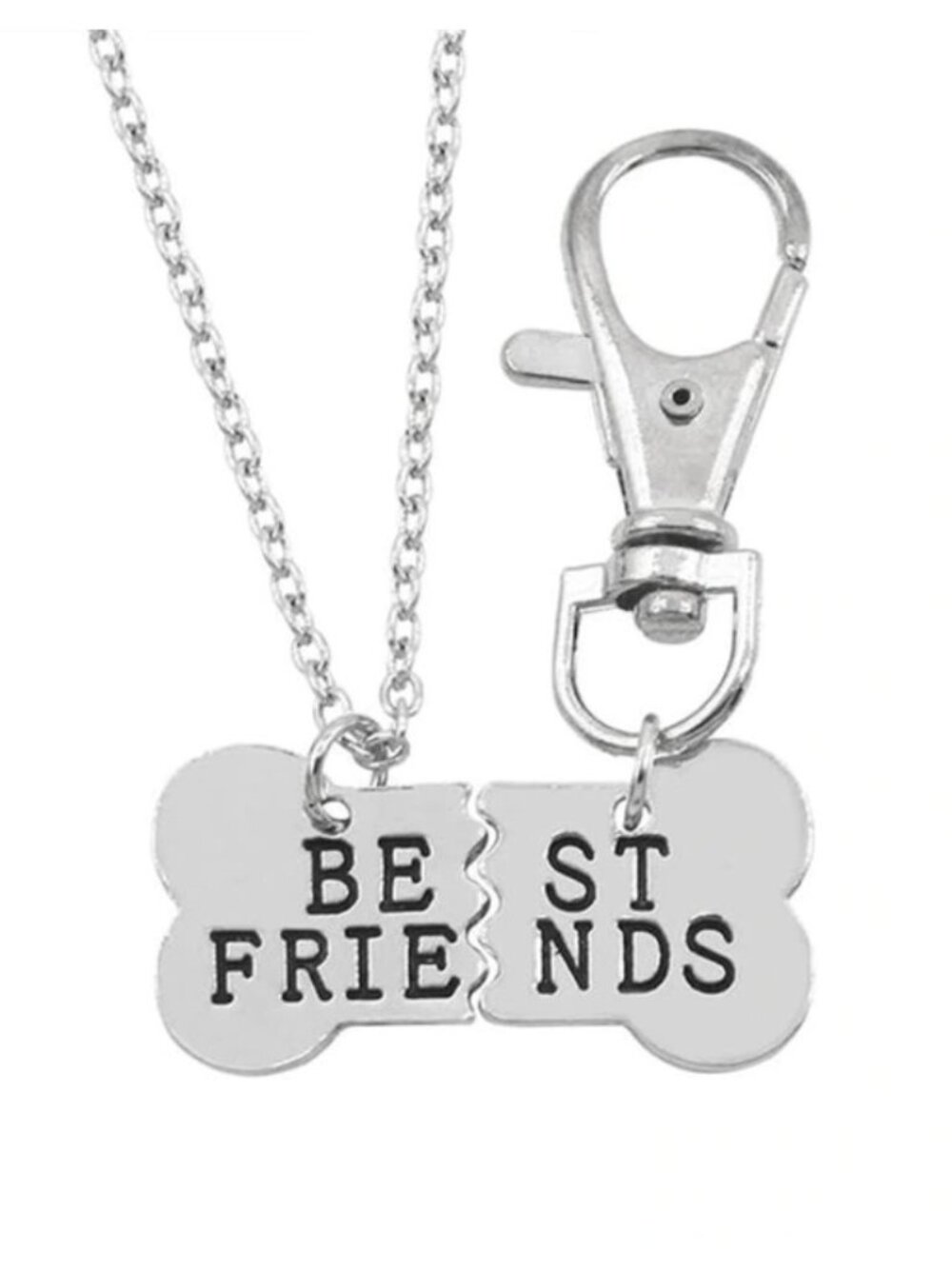 Silver Dog Tag Pendant Best Friends 2 Piece Dog Collar & Owner Matching Necklace